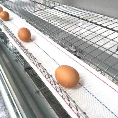 Annilteの養鶏場の熱い販売の卵のコレクション ベルト