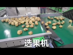 フルーツ野菜のグレーダーをカスタマイズしなさい