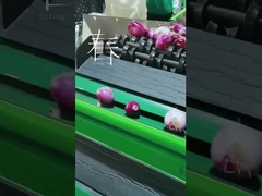 フルーツ野菜のグレーダーをカスタマイズしなさい