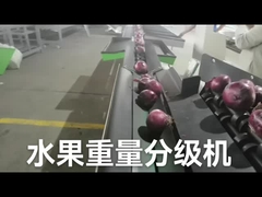 自動電子フルーツの選別機および機械の重量を量るため