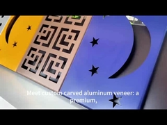 現代建築プロジェクトのためのカスタマイズされたユニークな彫刻アルミフェニール