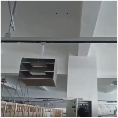 名前